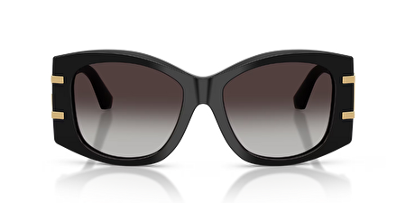 0DG4501 501/8G 54*17*145