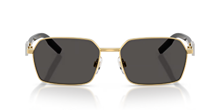 0DG2316 02/87 56*16*145