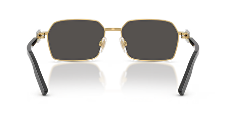 0DG2316 02/87 56*16*145