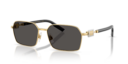 0DG2316 02/87 56*16*145