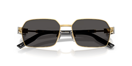 0DG2316 02/87 56*16*145