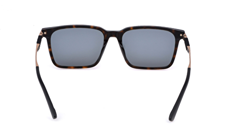 SPLP31M 0722 56*17*145