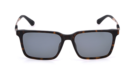 SPLP31M 0722 56*17*145