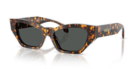 0VE4488U 551487 53*17*140