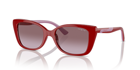 0VJ2022 31298H 48*16*125