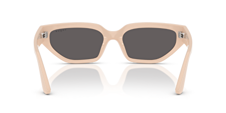 0VJ2029 320687 52*16*134