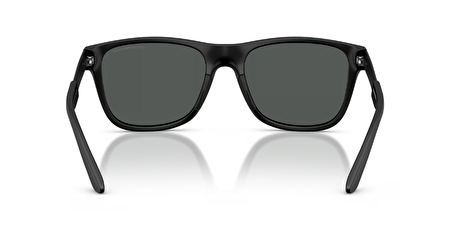 0EA4243 5001T3 56*17*140