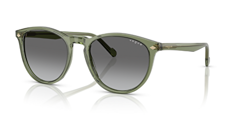 VO 0VO5599S 318711 53*19*145