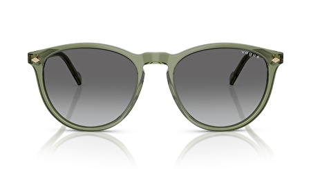 VO 0VO5599S 318711 53*19*145