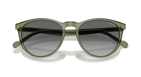 VO 0VO5599S 318711 53*19*145