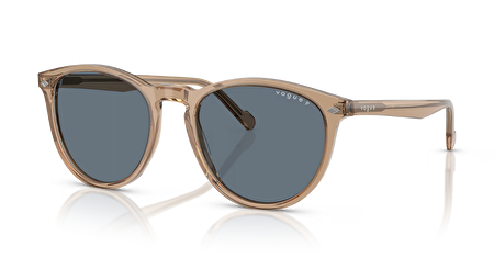 VO 0VO5599S 31894Y 53*19*145