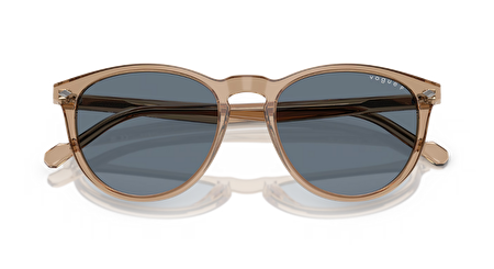 VO 0VO5599S 31894Y 53*19*145