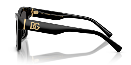 0DG4512 501/87 53*20*145