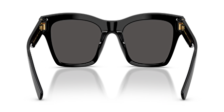 0DG4512 501/87 53*20*145