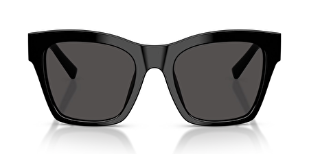 0DG4512 501/87 53*20*145