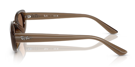 RB 0RB4441D 677973 53*21