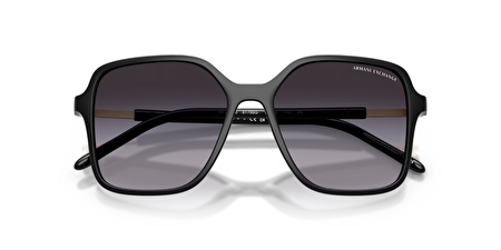 0AX4163S 81788G 53*16*140