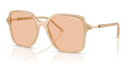 0AX4163S 836673 53*16*140