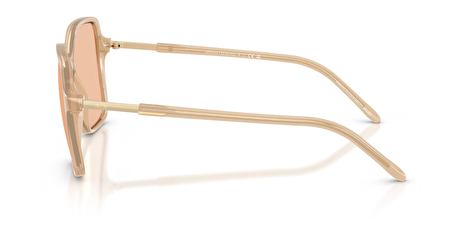 0AX4163S 836673 53*16*140