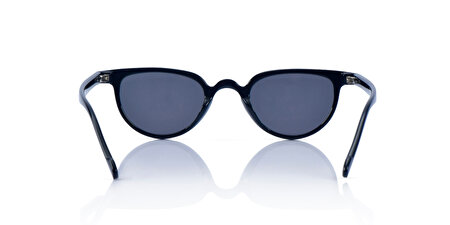 INC OPF321 C01 45*24*145