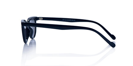 INC OPF321 C01 45*24*145