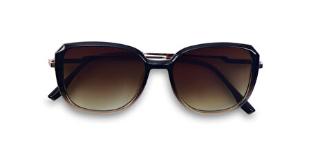 IF OPF100080 C2P 54*13*147