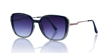 IF OPF100080 C4P 54*13*147