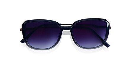 IF OPF100080 C4P 54*13*147