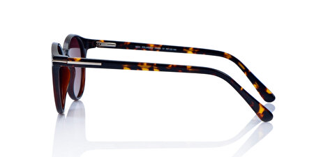 IP PR300 01 49*22*145