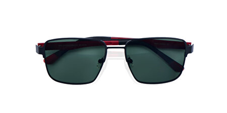 IP PR363 C31 55*16*142