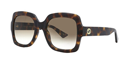 GG1337S 003 54*22*140