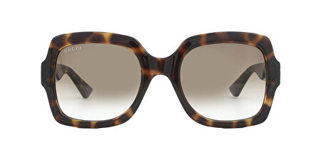 GG1337S 003 54*22*140