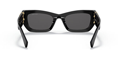 0MU 09WS 1AB5S0 53*22*135