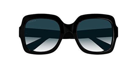 30013884001 1330L1 54*22*140