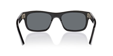 30017066001 1100A1 53*19*145