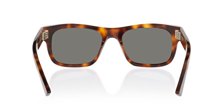 30017066002 4402L1 53*19*145